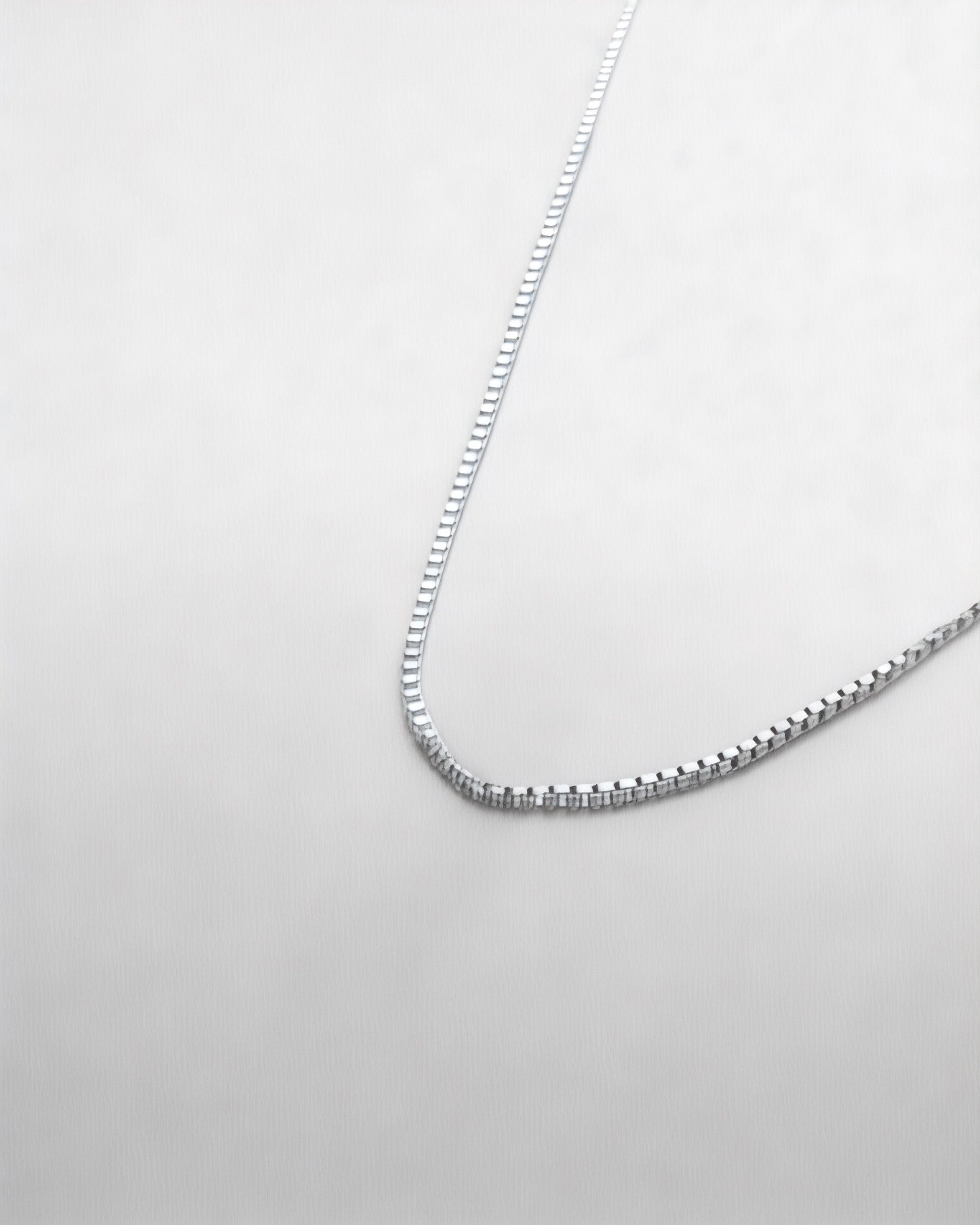 Chain - Stainless Steel Necklace